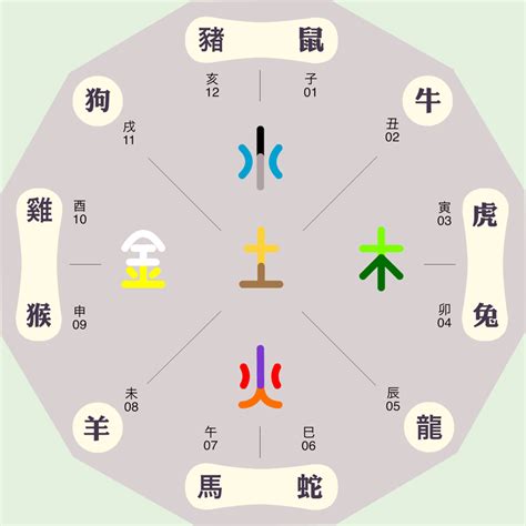 妍 五行屬性|妍字五行：你不知道的秘密